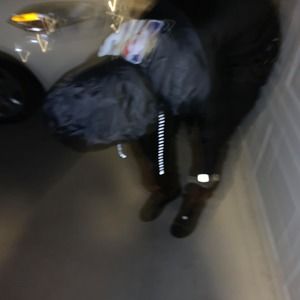 Meet your Posher, Tony